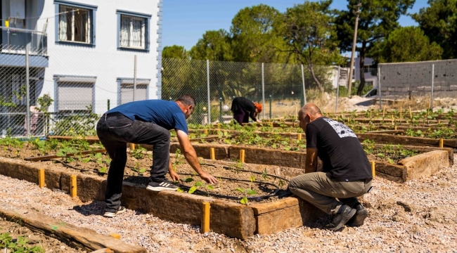 İzmir'de Mahalle Bostanı Projesi yayılıyor! Şimdi de Buca'da
