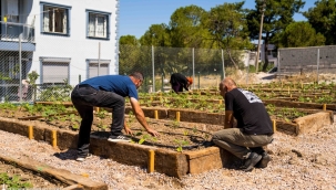 İzmir'de Mahalle Bostanı Projesi yayılıyor! Şimdi de Buca'da