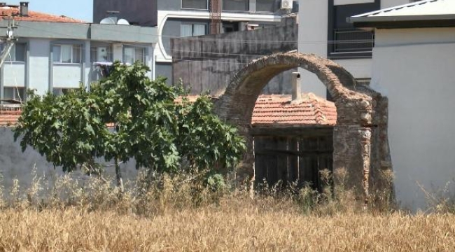 İzmir Gaziemir'de 'botanik turizm rotası oluşturma' önerisi