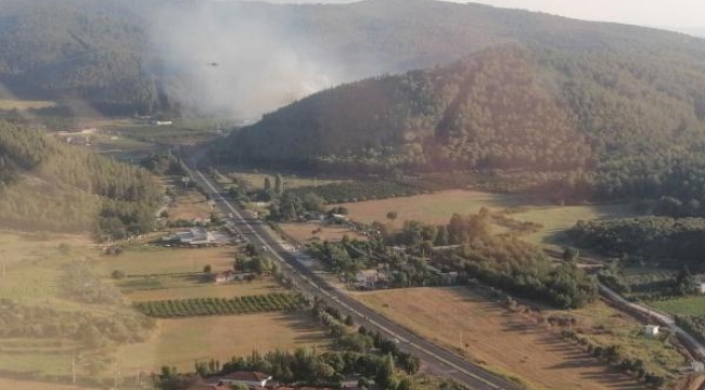 İzmir Selçuk'ta orman yangını başladı