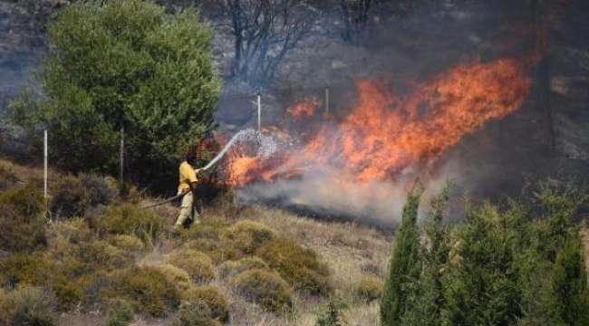 İzmir'de 3 yangında 25 hektar alan zarar gördü