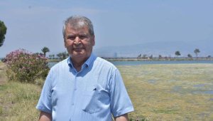 İzmir'de Çakalburnu deniz maruluyla kaplandı