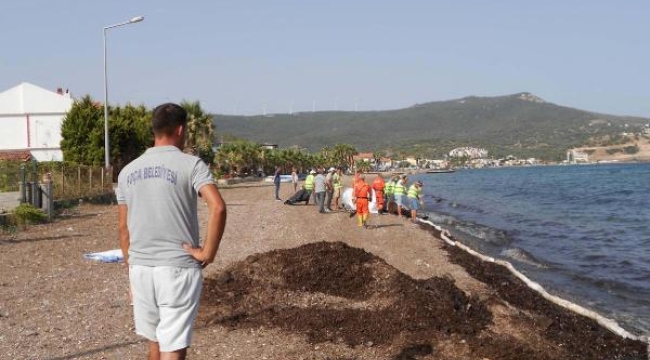 İzmir'de gemiden bırakılan atıklar sahile vurdu