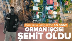 İzmir'de ormanı söndürürken hayatını kaybetti