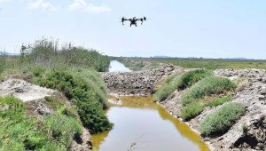 İzmir'de sivrisineğe karşı dron ile ilaçlama yapılmaya başlandı
