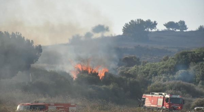 İzmir'in 2 ilçesinde 390 hektar orman yandı