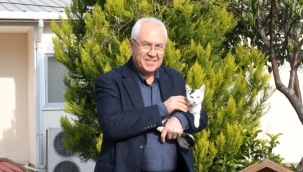 Karabağlar Belediyesi, sokak hayvanlarına yoğun bakım kurdu