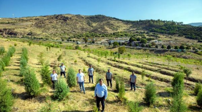 Karşıyaka'ya 32 futbol sahası büyüklüğünde ağaç dikildi