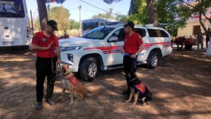 Kayıp ekonomisti arama çalışmaları ormanda yoğunlaştı