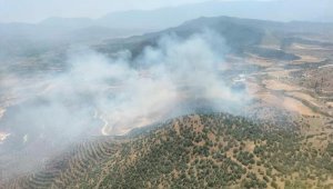 Kiraz'da tarlada çıkan yangın, ormana sıçradı