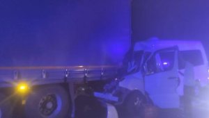 Kırkpınar güreşçileri TIR'a çarptı: 9 yaralı 