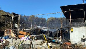 Korkulu anlar! Orman yangını evlere kadar ulaştı