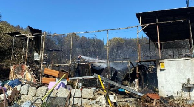 Korkulu anlar! Orman yangını evlere kadar ulaştı