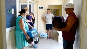 Kuşadası'nda 6 ayda 2 bin 464 sokak hayvanı kısırlaştırıldı