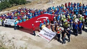 Maden şirketi, Muğla Akbelen ormanına 130 bin fidan dikecek 