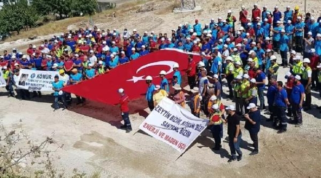 Maden şirketi, Muğla Akbelen ormanına 130 bin fidan dikecek 