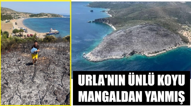 Orman yangını mangal ateşinden çıkmış