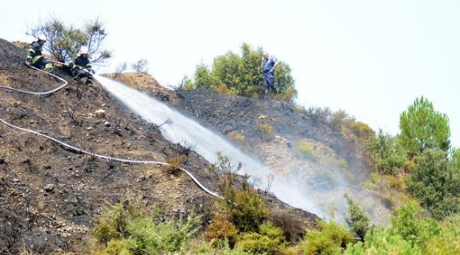 Manisa'da makilik yangını, 1 hektar küle döndü