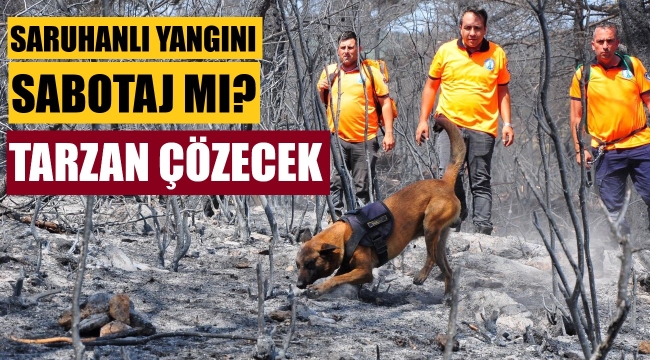 Manisa'daki orman yangınını  'Tarzan' çözecek
