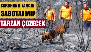 Manisa'daki orman yangınını  'Tarzan' çözecek