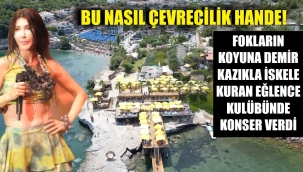 Mordoğan'da fokların koyuna kazık çakıp, iskele kurdular