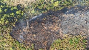 Muğla'da büyük yangınların yıl dönümünde orman yangını
