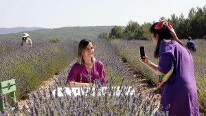 Muğla'da lavanta kokan şenlik