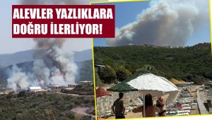 Muğla'da orman yangını