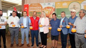 Narenciye ihracatı hedefi 1 milyar dolar