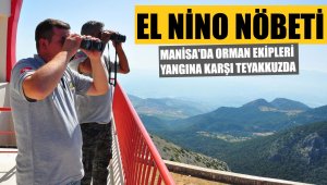 Ormancılar, 'El Nino' sıcaklarına karşı teyakkuzda