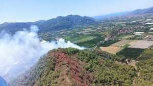 Ortaca'da orman yangını