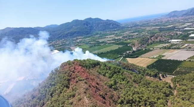 Ortaca'da orman yangını