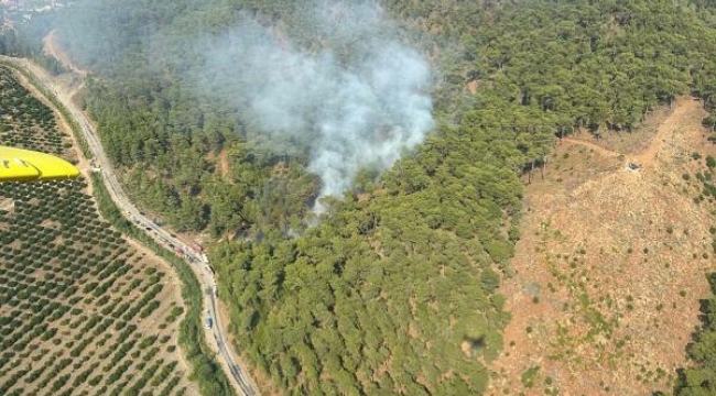 Ortaca'da yangın 1 saatte kontrol altına alındı