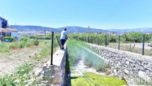 Prof. Dr. Durmuşoğlu: İklim krizi sivrisinek popülasyonunu artırdı