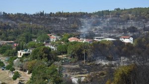 Sabotaj mı? Aliağa'daki orman yangınına 2 gözaltı