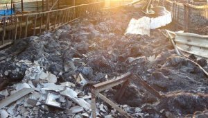 Tavuklar, koyunlar, ekinler... Hepsi yandı