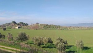 Tire'deki nekropol alanı SİT ilanıyla koruma altına alındı