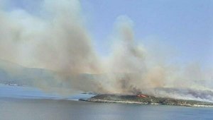 Urla'daki yangın enerji nakil hattından çıkmış