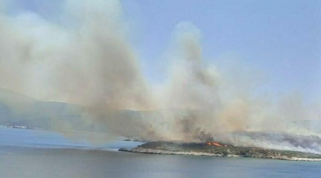 Urla'daki yangın enerji nakil hattından çıkmış