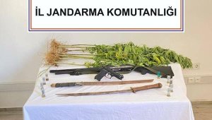 Uyuşturucu operasyonu! Samuray kılıçları ele geçti