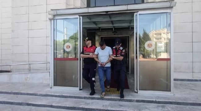 Ve zeytin tankında çıplak adam tutuklandı