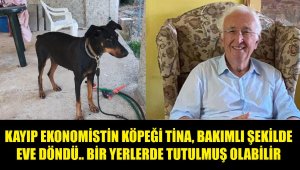 74 gün sonra dönen Tina, kayıp sahibinin yerini gösterebilir