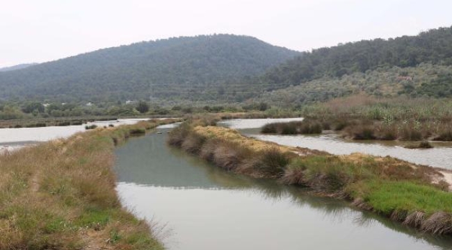 80 kuş ve balık türü var! 'Gölköy Sulak Alan tescil edildi