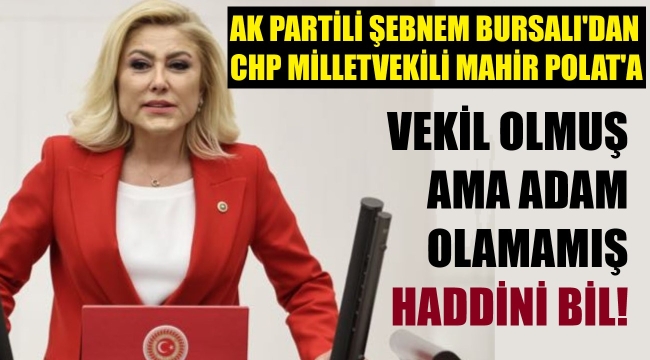 AK Partili vekil Bursalı: Çirkef Mahir