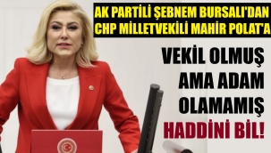 AK Partili vekil Bursalı: Çirkef Mahir