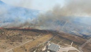 Aliağa'da otluk alanda yangın