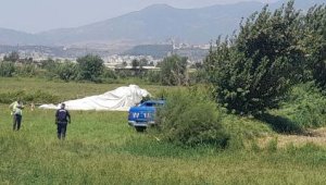 Aydın'da düşen eğitim uçağına dair yeni gelişmeler geldi