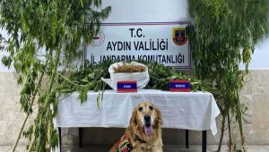 Aydın'da evinde uyuşturucu bulunan kişi gözaltına alındı