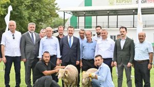 Balıkesir'de 85 üreticiye 585 küçükbaş desteği