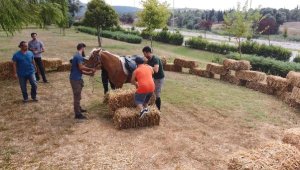 Balıkesir'de down sendromlu çocuklara atlı terapi etkinliği